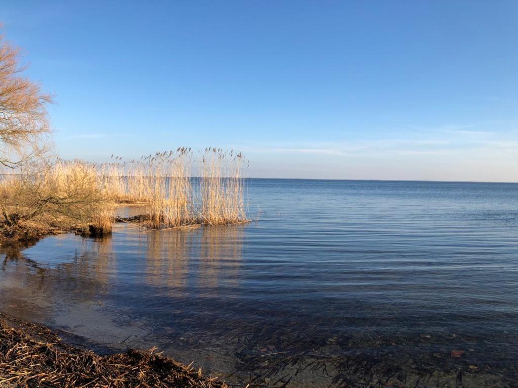 Ferienwohnung Seeblick - Insel Usedom Balm Екстериор снимка